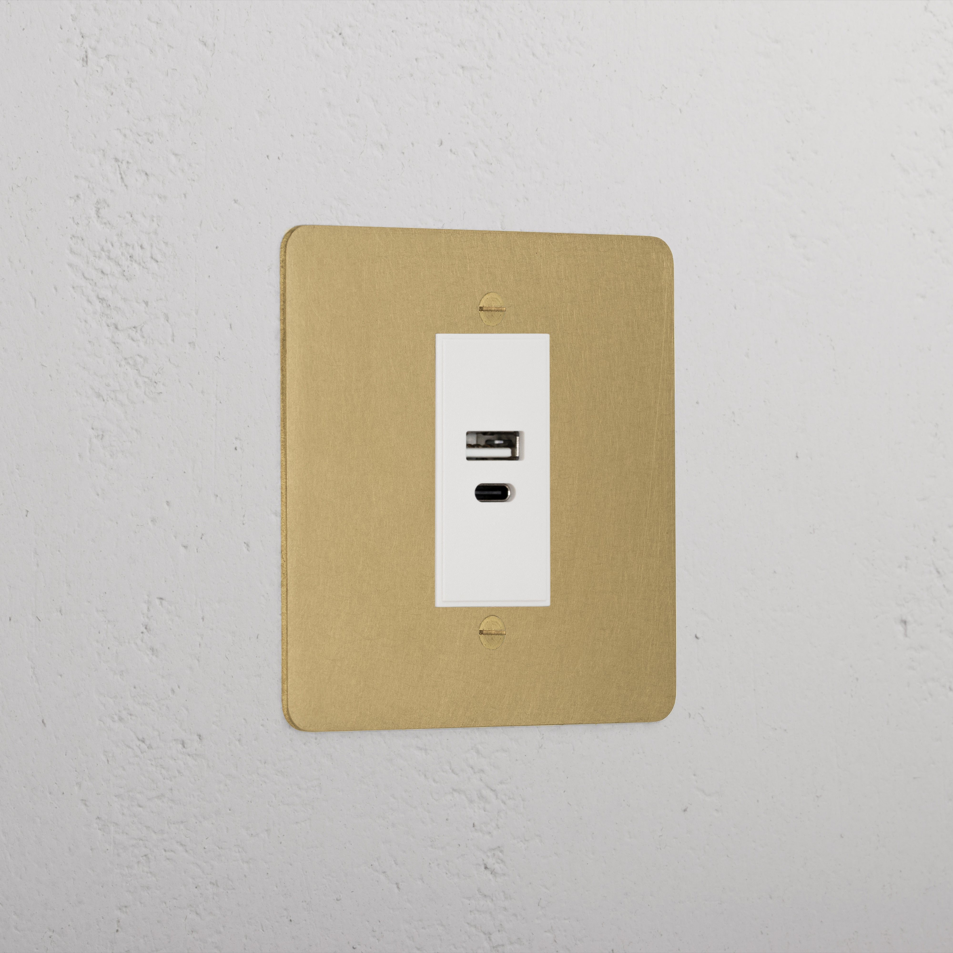 Luxury Antique Brass Usb A+C Socket White