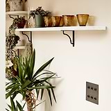 Bronze 6G two way toggle switch fixed to cream wall below shelf with brown glasses and plants atop