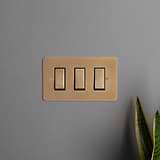 3G Two Way Rocker Switch in Antique Brass Black finish, installed on a wall near a plant.