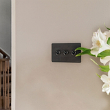 Bronze Light Switch Next To White Flowers