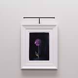 White-framed purple flower painting on wall, elegantly lit by a Harrow Picture Light 400mm.