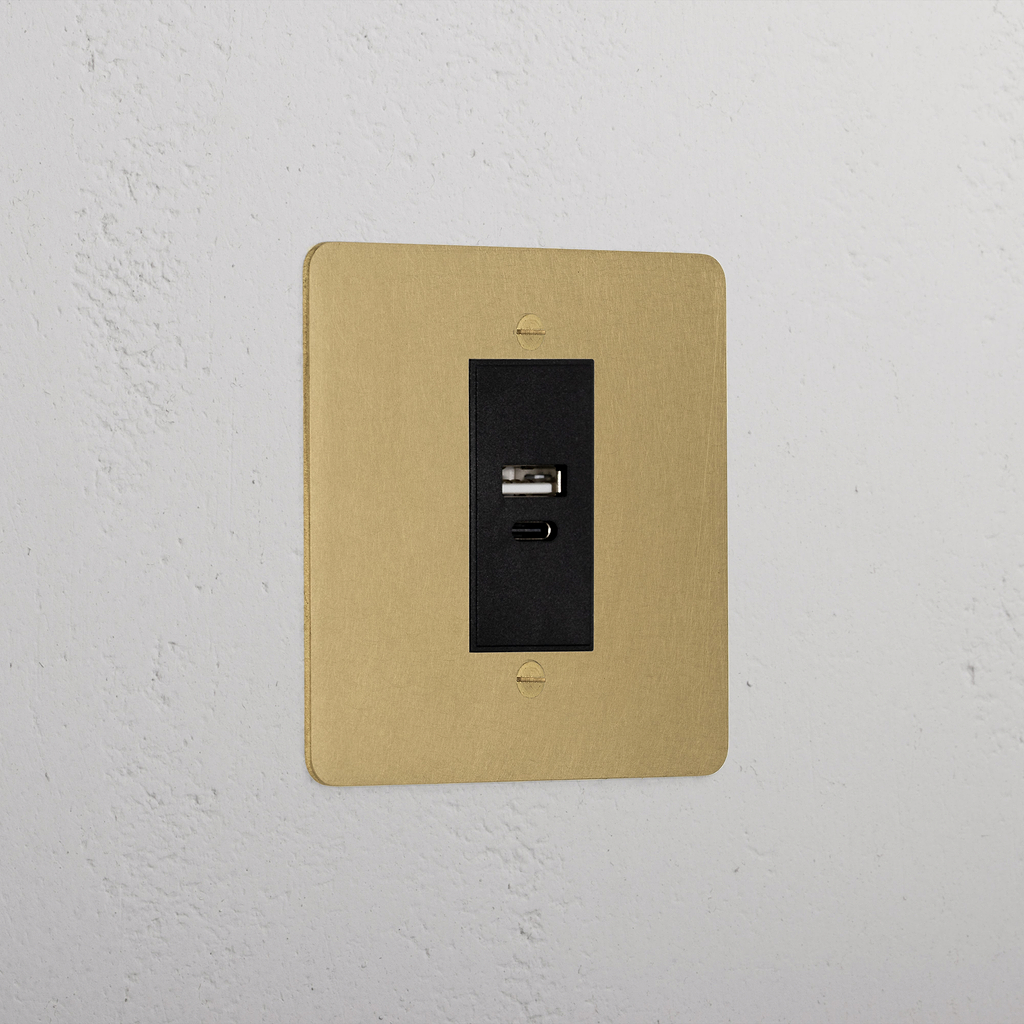 Luxury Antique Brass Usb A+C Socket Black