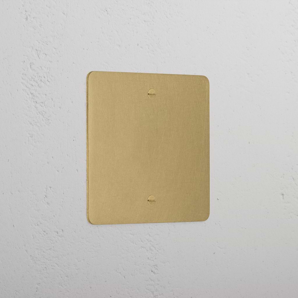Elegant Antique Brass 1 Gang Blank Plate