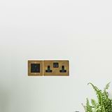 Antique Brass Designer Double Socket Beside Plants