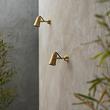 Cambridge Wall Spotlight – Antique Brass, mounted outdoors on a light beige wall with green plants on each side.