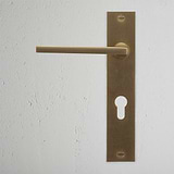 Clayton Long Plate Sprung Door Handle & Euro Lock - Antique Brass  