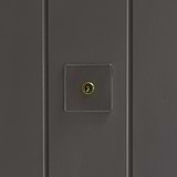 1G Two Way Toggle Switch in Clear Antique Brass on a dark gray paneled wall, providing an elegant accent.