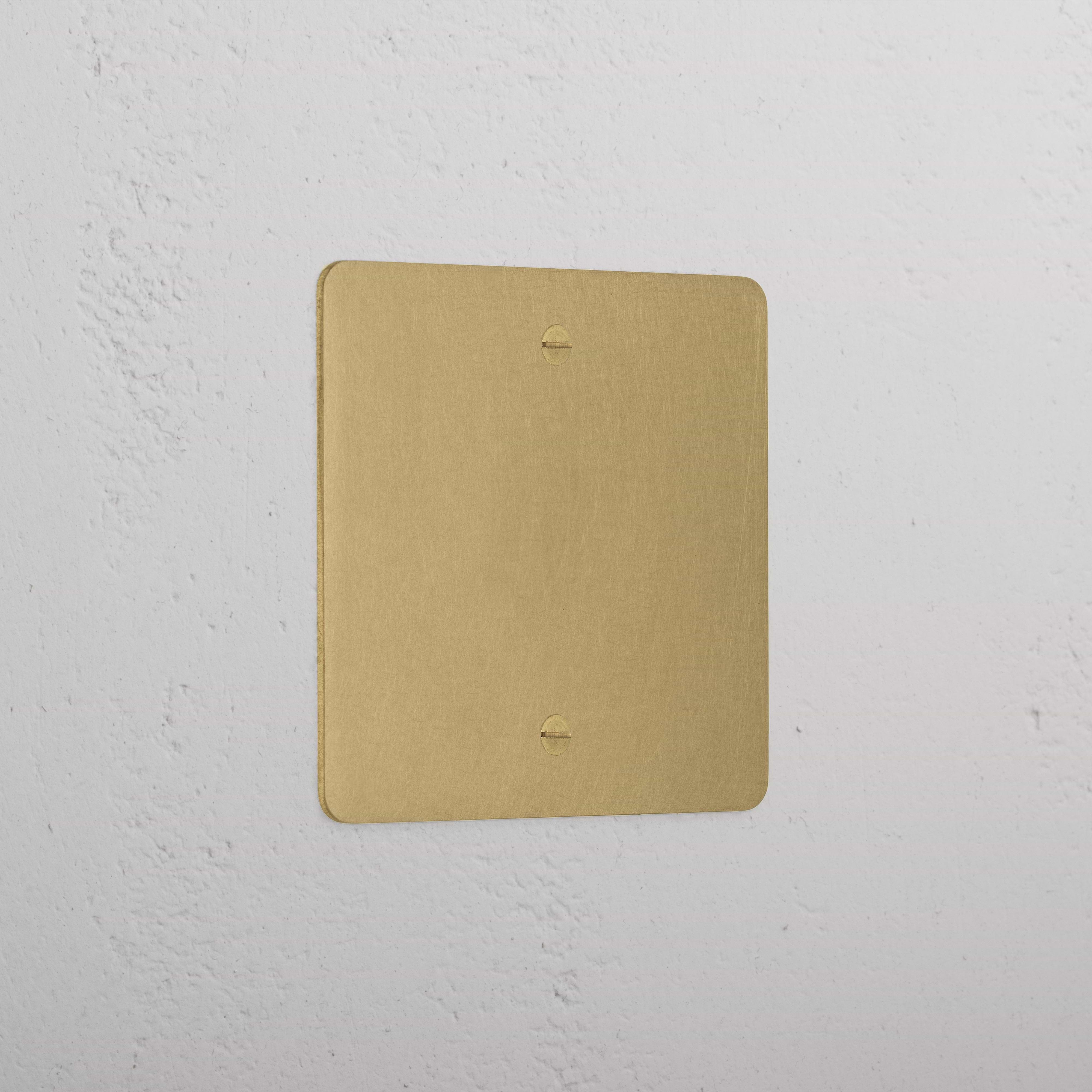 Elegant Antique Brass 1 Gang Blank Plate