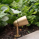 Ealing Ground Spotlight in antique brass nestled among ferns and greenery, ideal for outdoor illumination.
