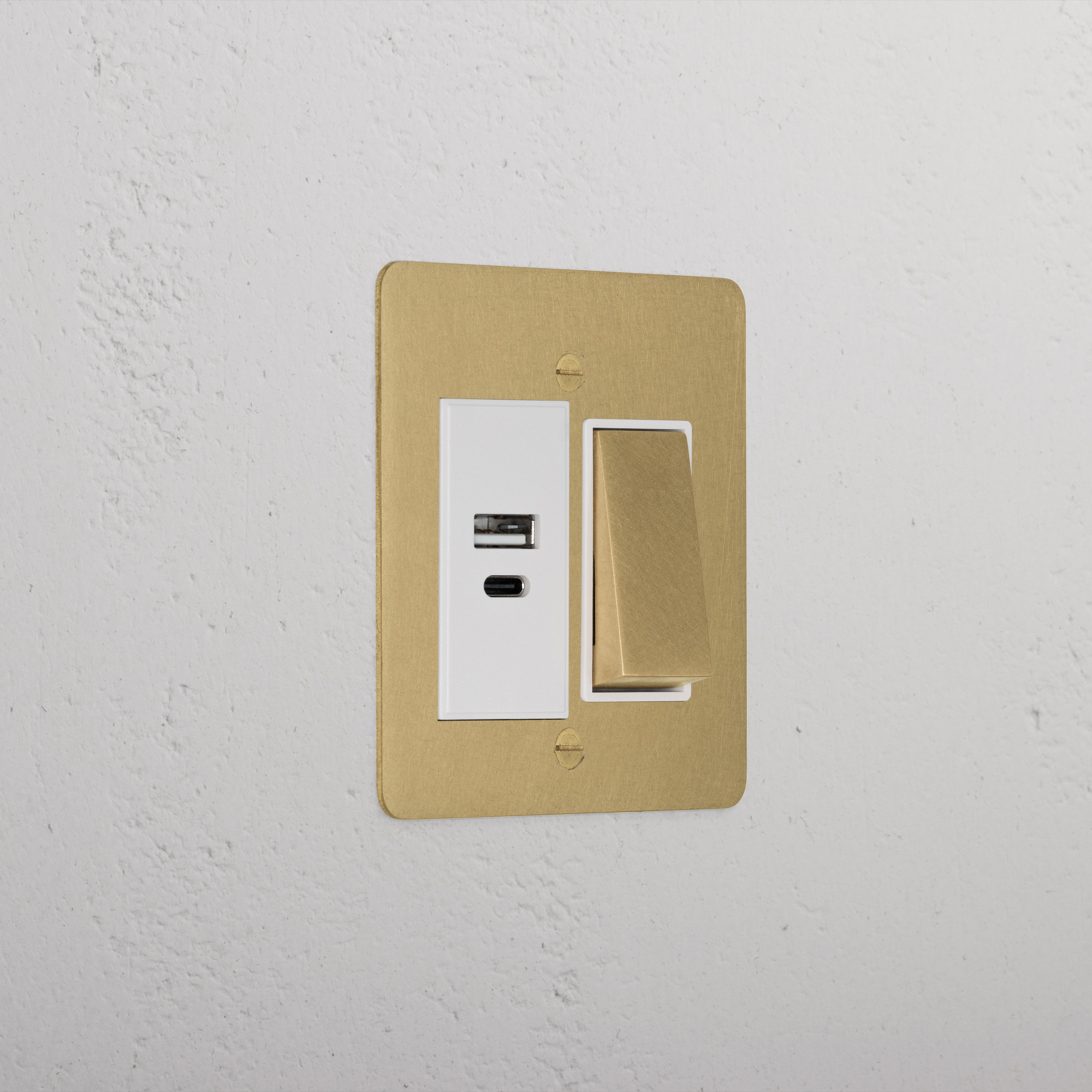 1G Two Way Rocker + Usb A+C Slimline Switch - Antique Brass White