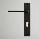 Bronze Clayton Long Plate Sprung Door Handle & Euro Lock for doors, shown against a textured white wall.