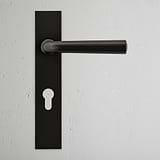 Bronze Apsley Long Plate Sprung Door Handle & Euro Lock on a white textured wall, featuring an elegant keyhole.