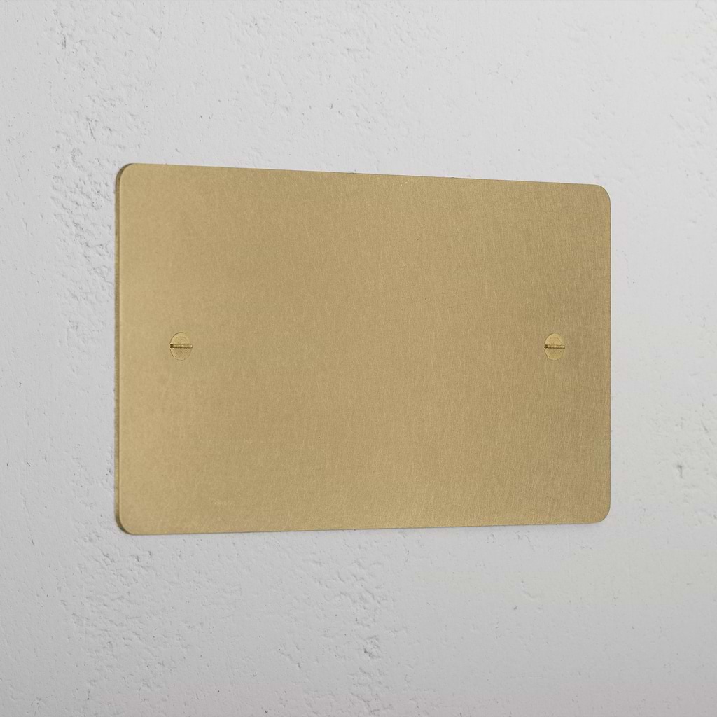 Antique Brass Double Blank Plate