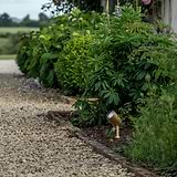 Ealing Ground Spotlight in Antique Brass illuminating a gravel path surrounded by green bushes.