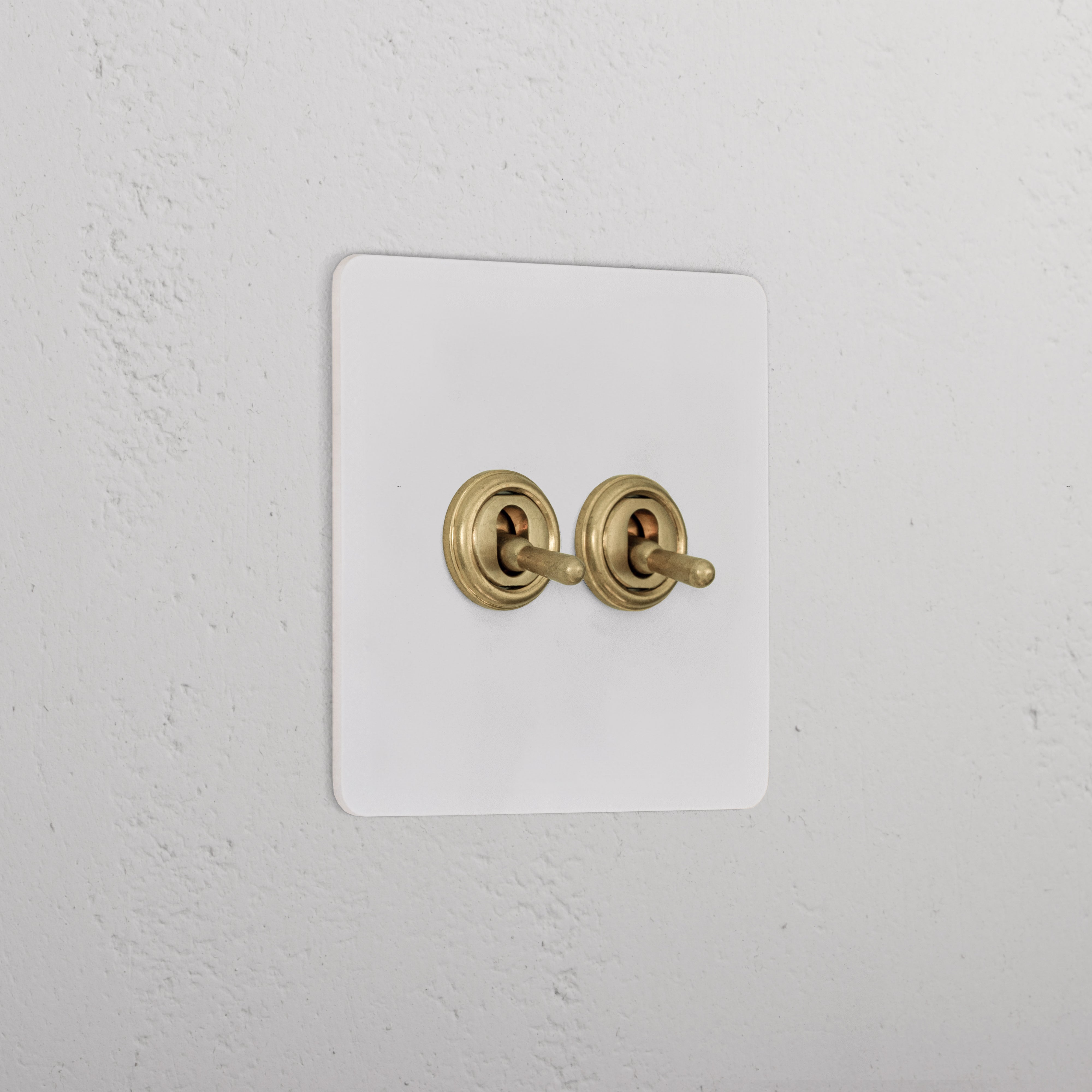 2G Two Way Toggle Switch _ Paintable Antique Brass