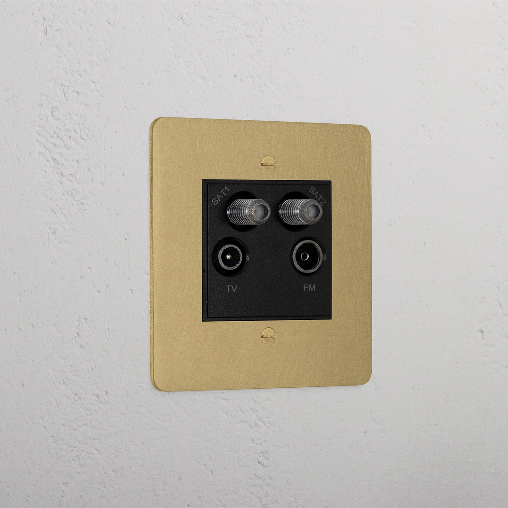 Luxury Antique Brass Aerial Socket Black