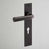 Bronze Apsley Long Plate Sprung Door Handle & Euro Lock, elegantly displayed against a textured white wall.