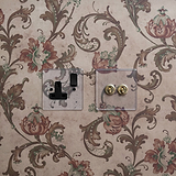 2G Two Way Toggle Switch in Clear Antique Brass finish, part of the 2G Switches & Dimmers collection.
