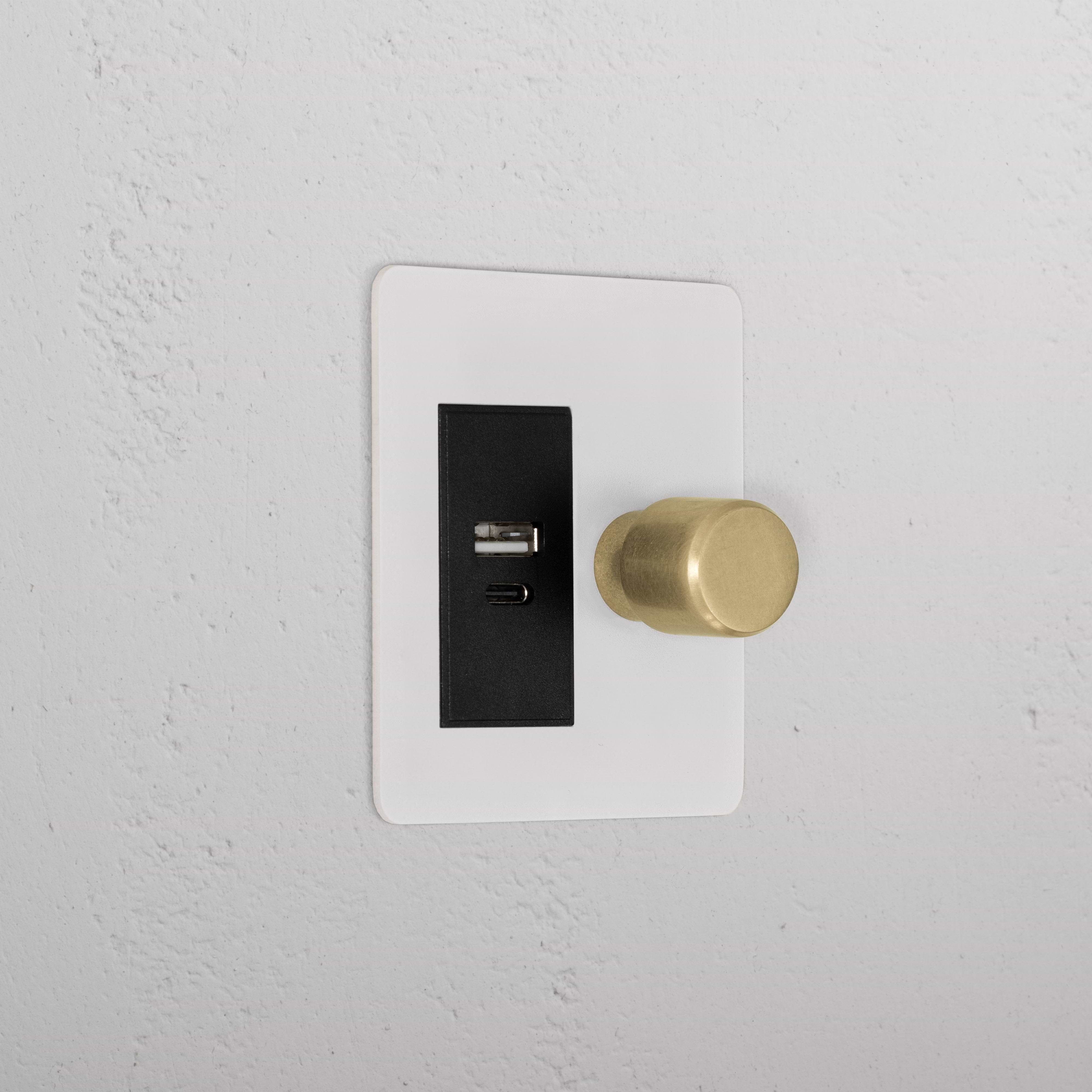 1G Two Way Dimmer + USB A+C Slimline Switch _ Paintable Antique Brass Black