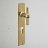 Harper T-Bar Long Plate Sprung Door Handle & Euro Lock - Antique Brass