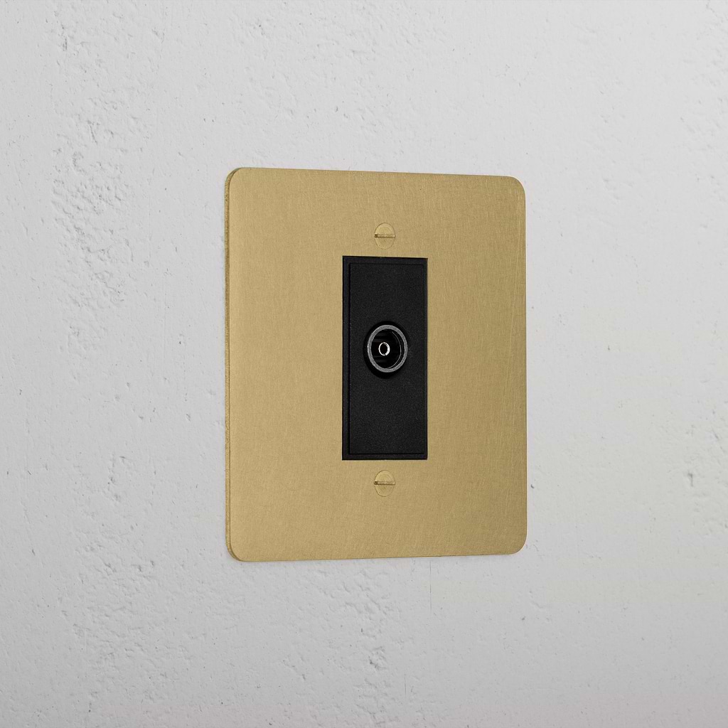 Premium Antique Brass Tv Outlet Socket Black