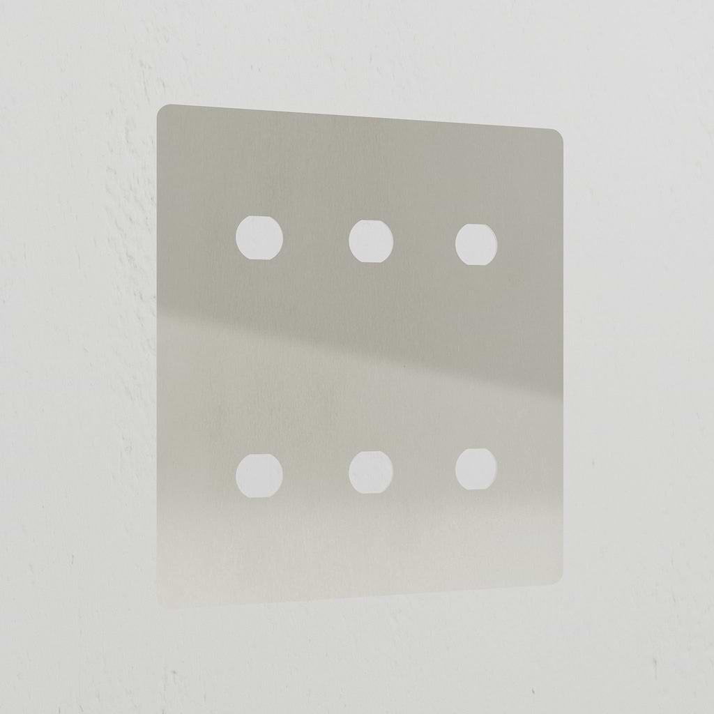 6G Switch Plate - Polished Nickel
