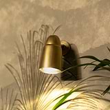 Antique Brass Ealing Surface Spotlight wall-mounted projecting downard lighting onto a green leafy plant.