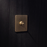 Antique brass 1G centre retractive toggle switch for switches & dimmers against dark wood wall.