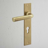 Apsley Long Plate Sprung Door Handle & Euro Lock in antique brass on a rectangular backplate against a white wall.