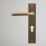 Digby Long Plate Sprung Door Handle & Euro Lock - Antique Brass