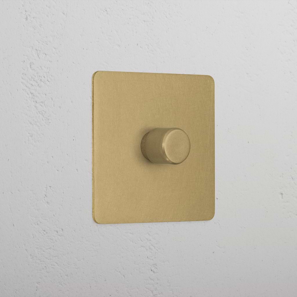 Elegant Antique Brass 1 Gang 2 Way Dimmer Light Switch