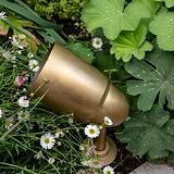 Ealing Ground Spotlight in antique brass, set in a garden with greenery and small white flowers, for outdoor lighting.