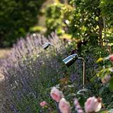 Ealing Path Spotlight in polished nickel illuminating a garden path with lavender and pink roses.