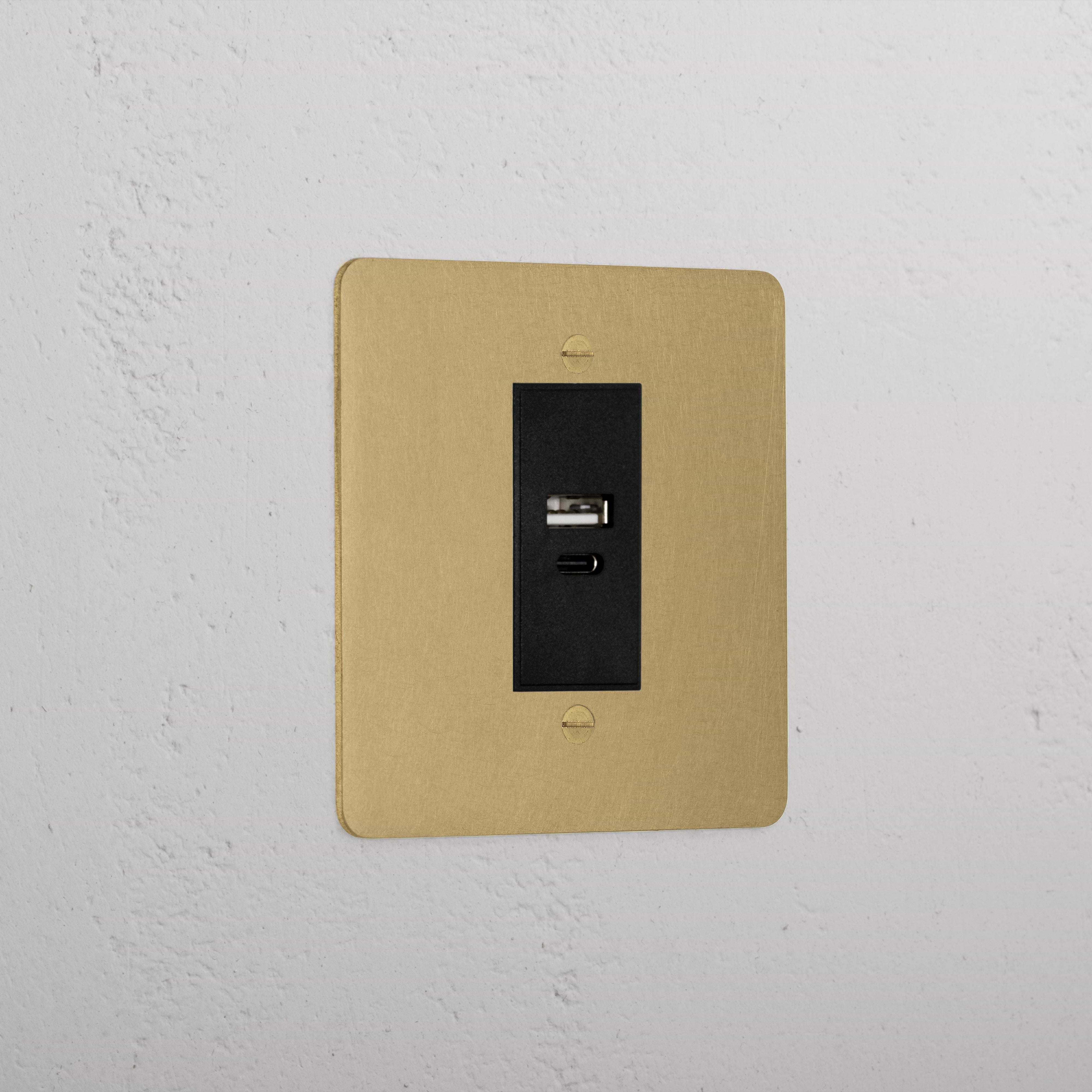 Luxury Antique Brass Usb A+C Socket Black