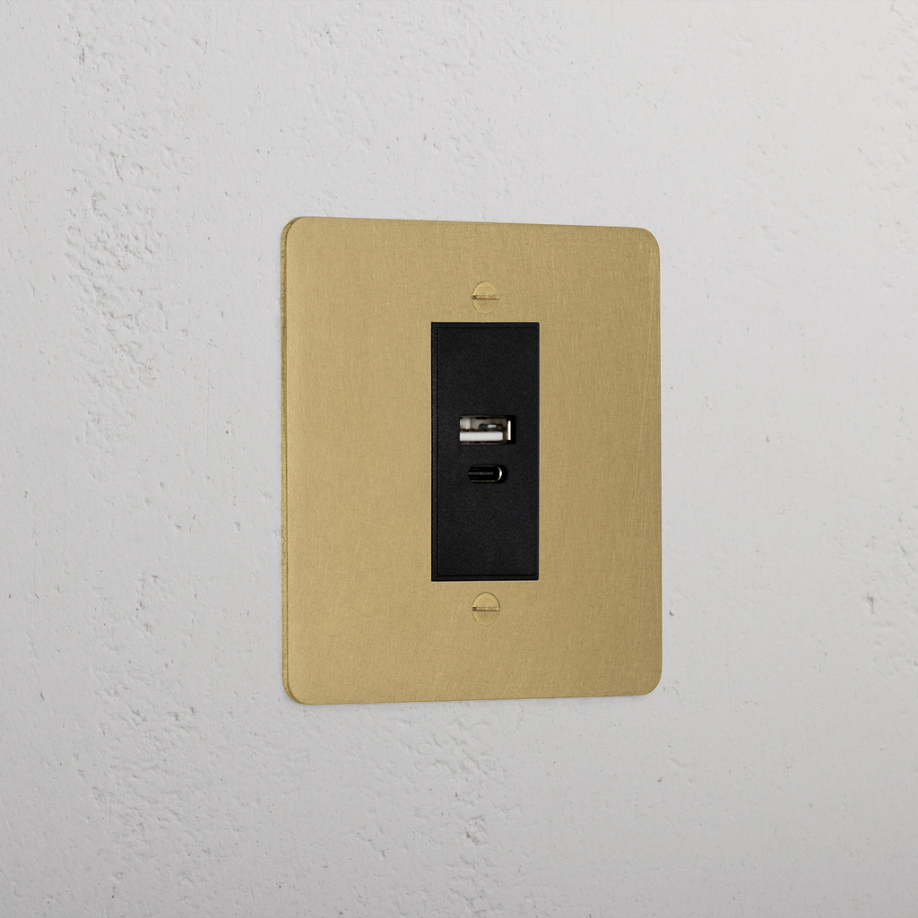 Luxury Antique Brass Usb A+C Socket Black