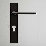 Clayton Long Plate Sprung Door Handle & Euro Lock - Bronze  