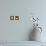 Single Socket UK in Antique Brass with a white center, 1G Sockets & Modules.