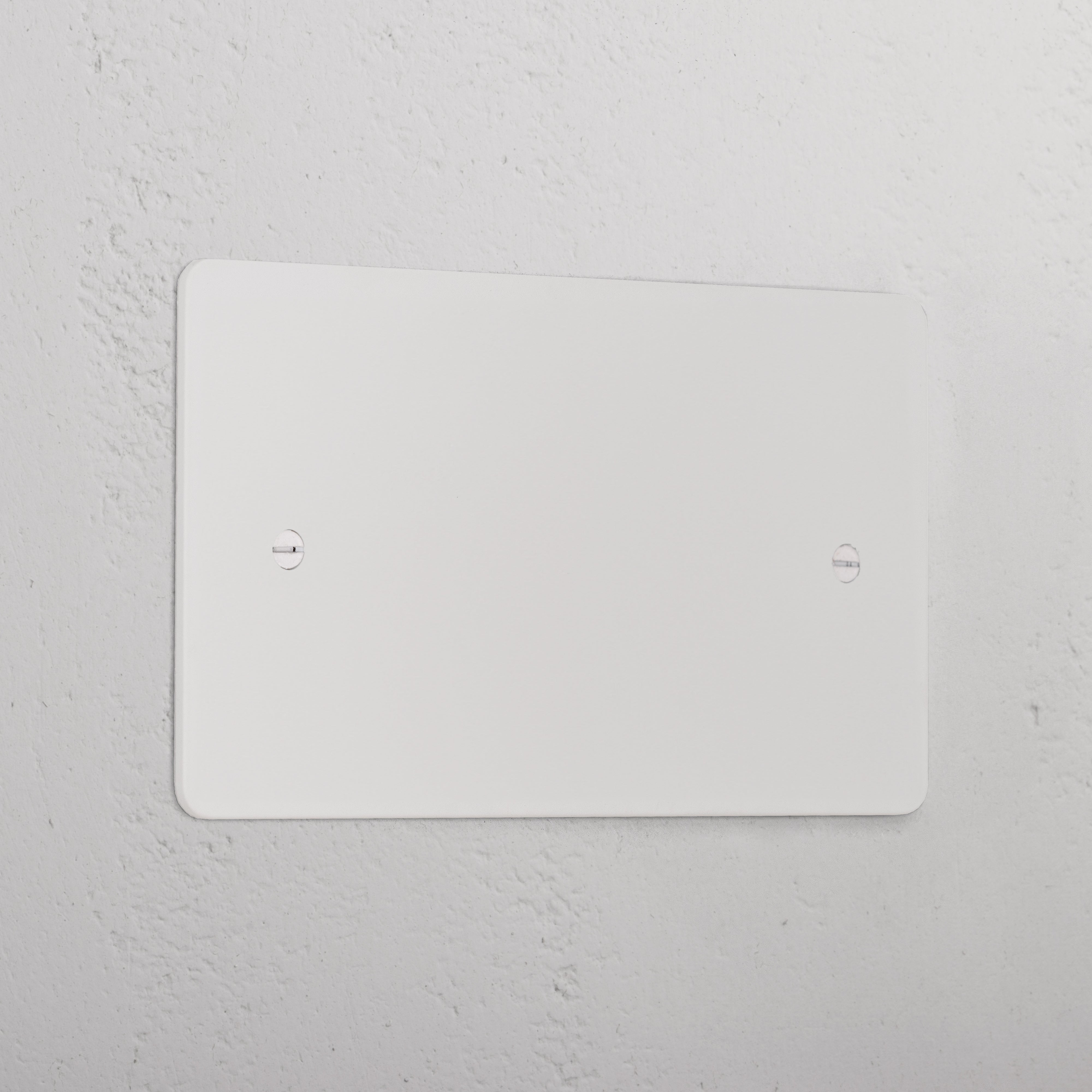 2G Blank Plate _ Paintable