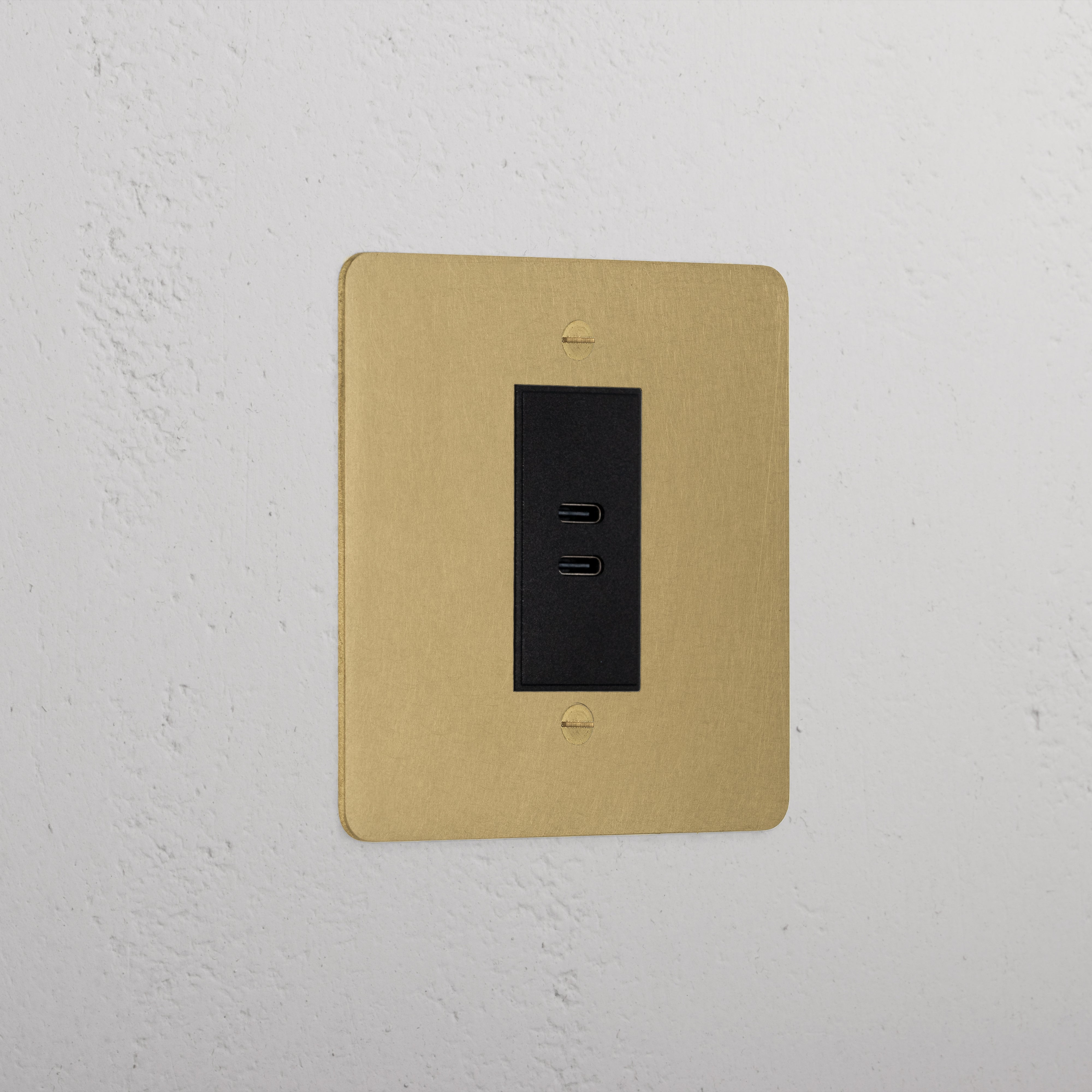 Elegant Antique Brass Usb C+C Socket Black