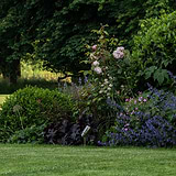 Ealing Ground Spotlight in polished nickel highlighting garden with roses, purple flowers, and green shrubs.