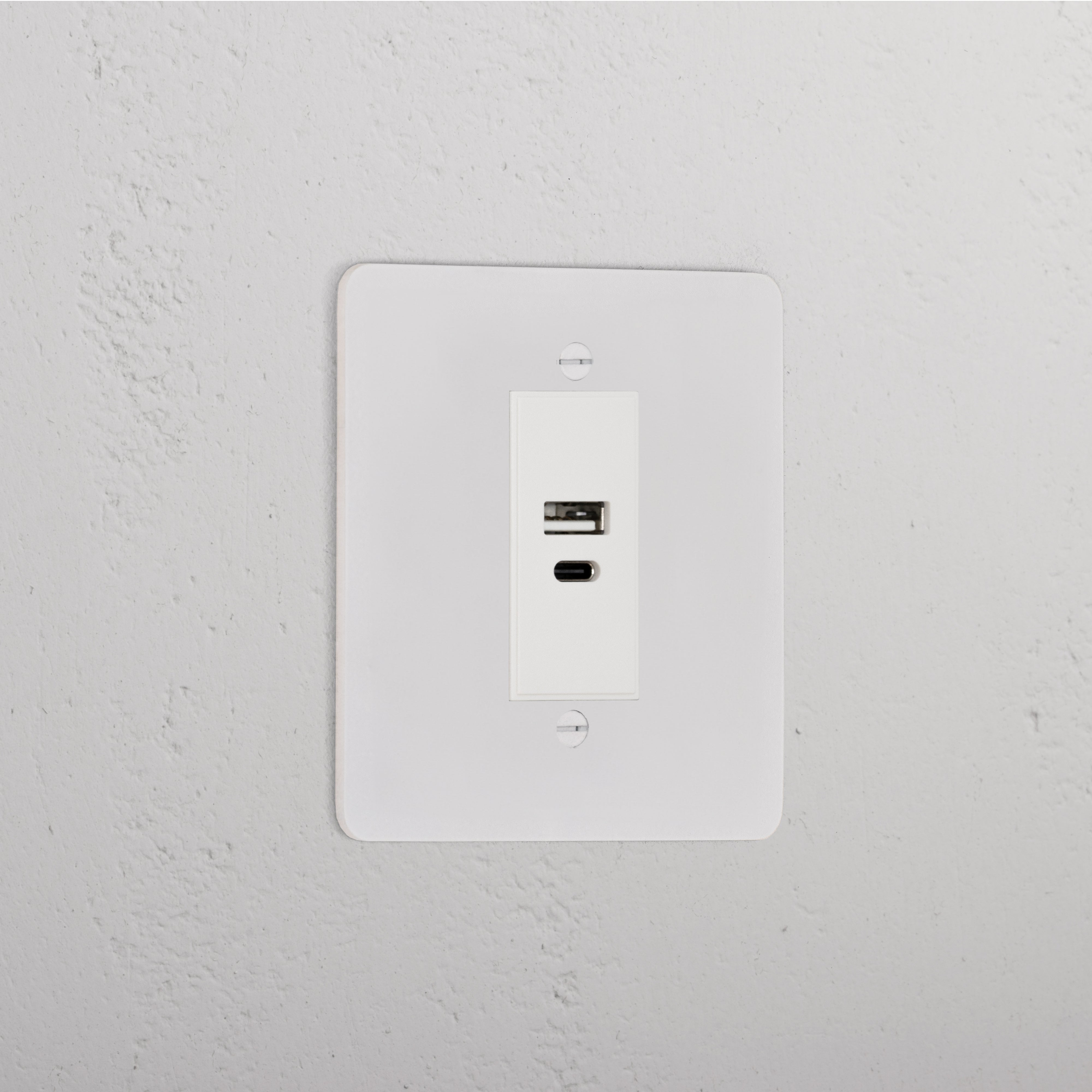 USB A+C Socket _ Paintable White