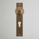 Antique brass Poplar long plate door handle with Euro lock and knob on a textured white wall.