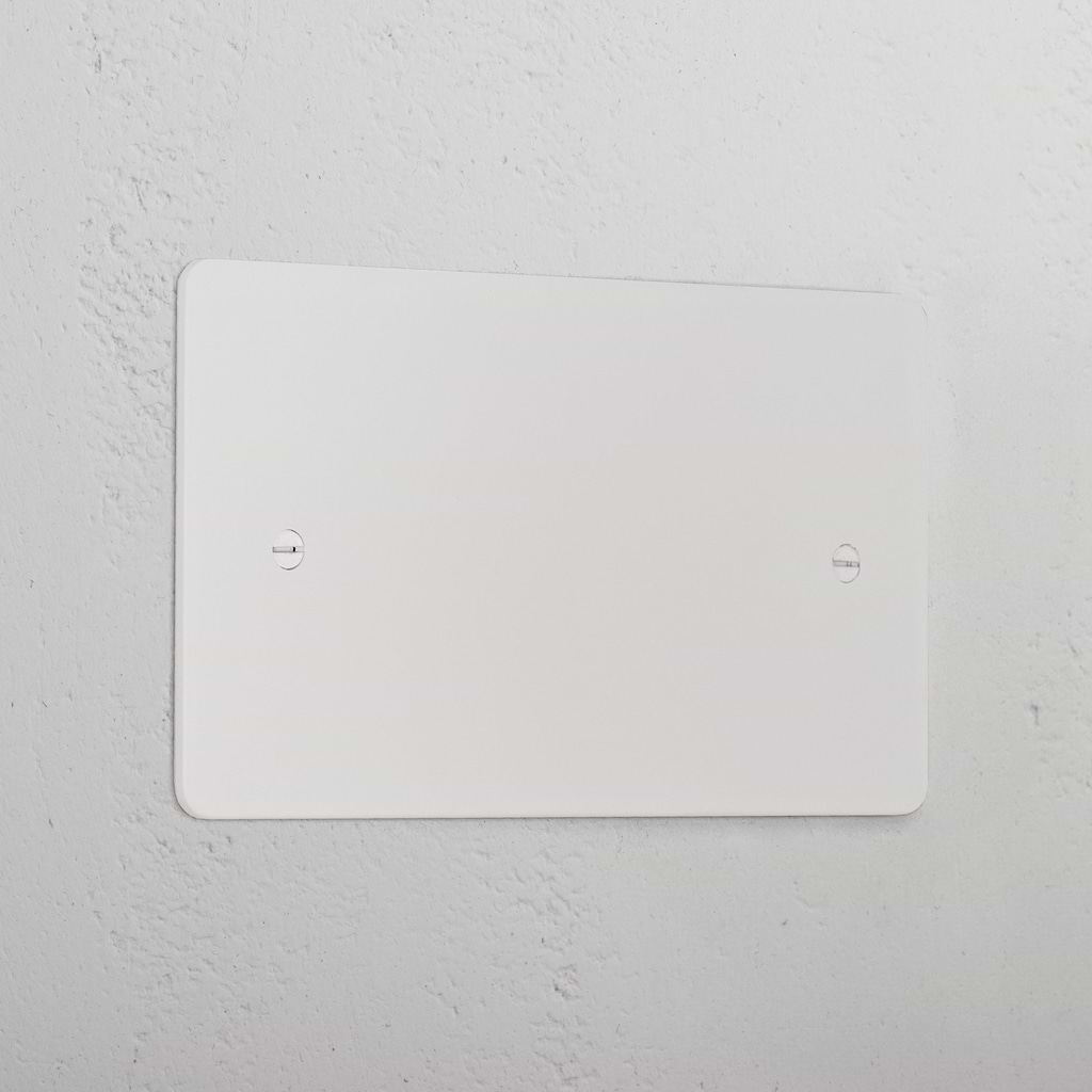 2G Blank Plate _ Paintable