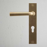 Apsley Long Plate Sprung Door Handle & Euro Lock - Antique Brass