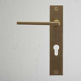 Antique Brass Clayton Long Plate Sprung Door Handle & Euro Lock on a textured white wall.