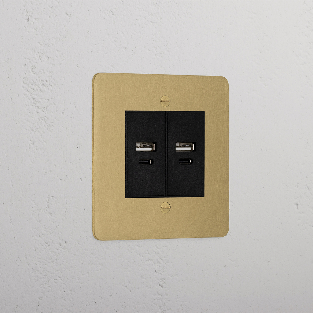 Antique Brass Designer 2x Usb A+C Socket On White Background