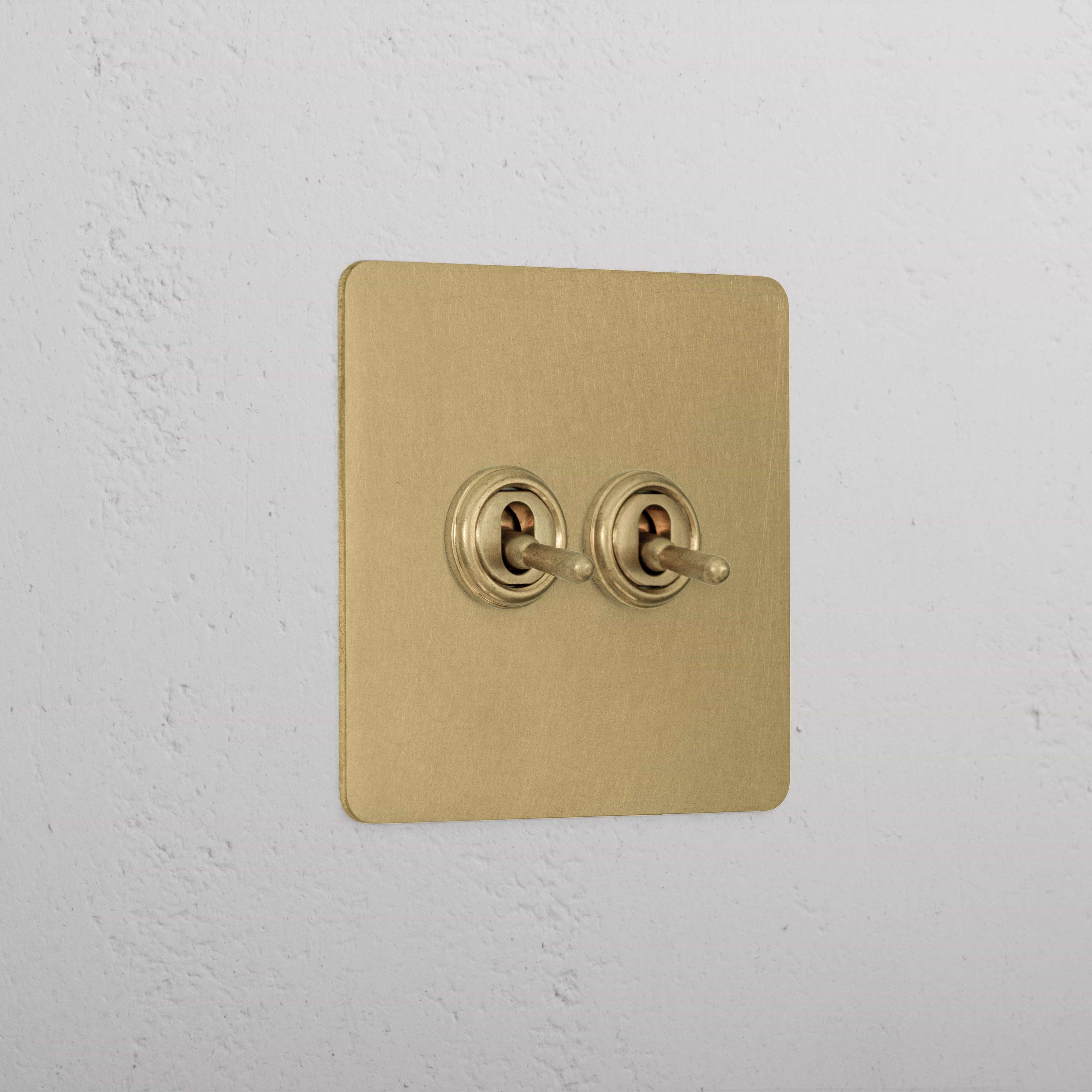 Interior Antique Brass 2 Gang 2 Way Toggle Light Switch