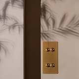 Antique brass 4G vertical two-way toggle switch on a beige wall with palm shadow patterns.