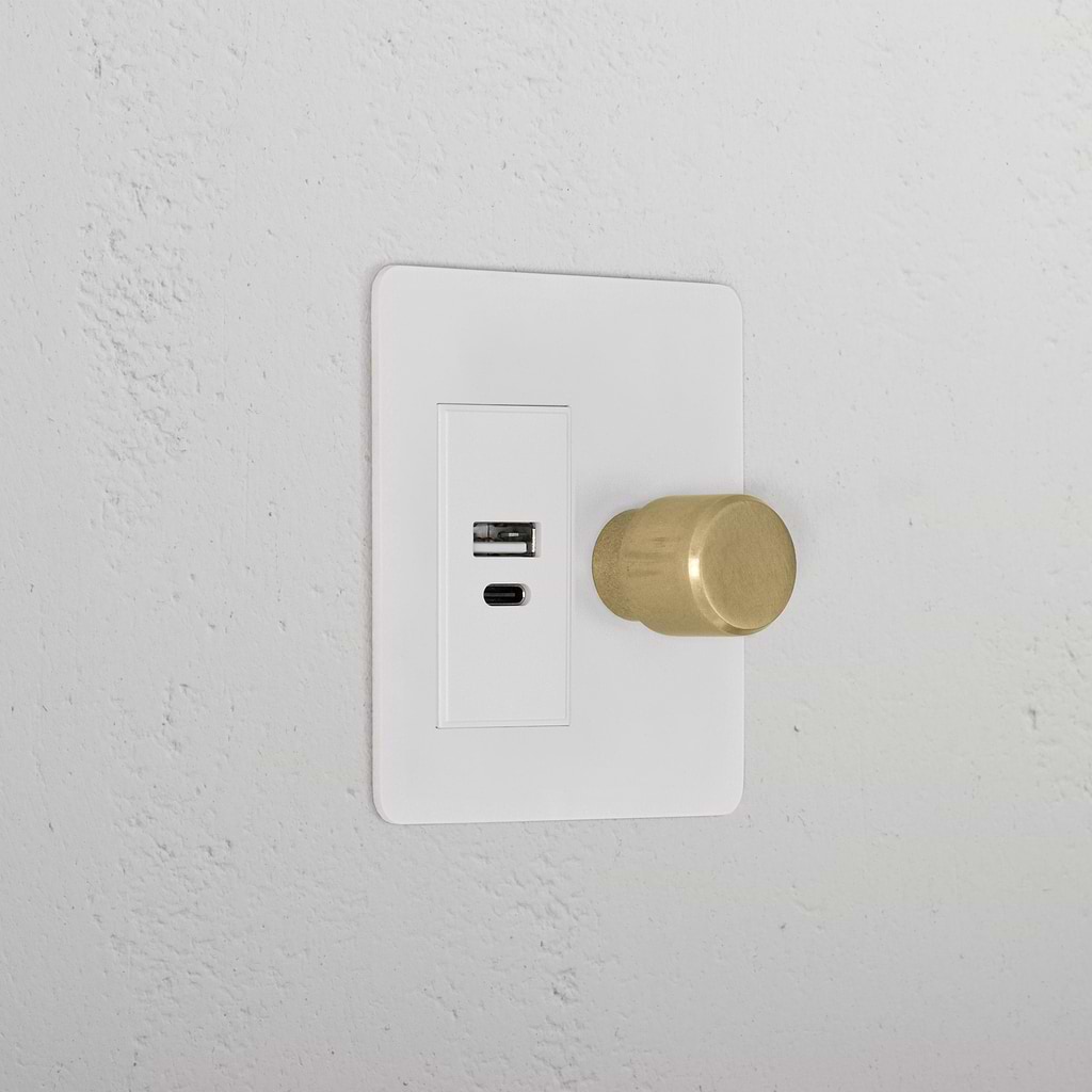 1G Two Way Dimmer + USB A+C Slimline Switch _ Paintable Antique Brass White