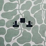 Clear Black Double Socket UK, 2G, mounted on a green and white abstract patterned wall.
